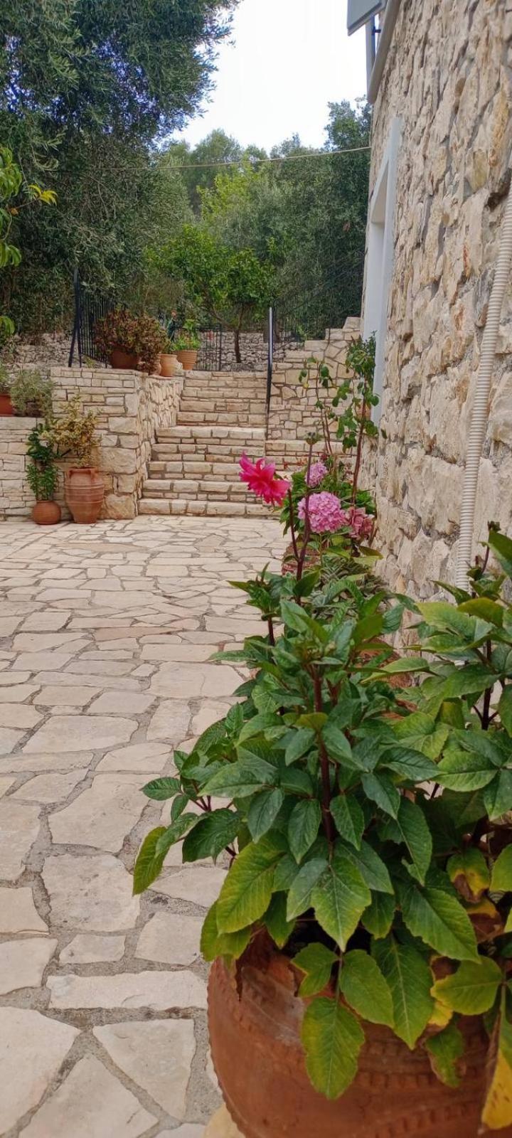 Villa Makris Zenempisatika Exterior photo